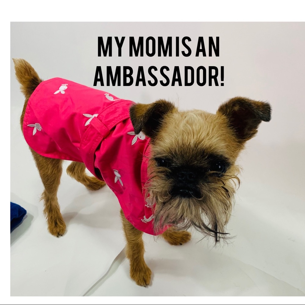I am a posh ambassador!